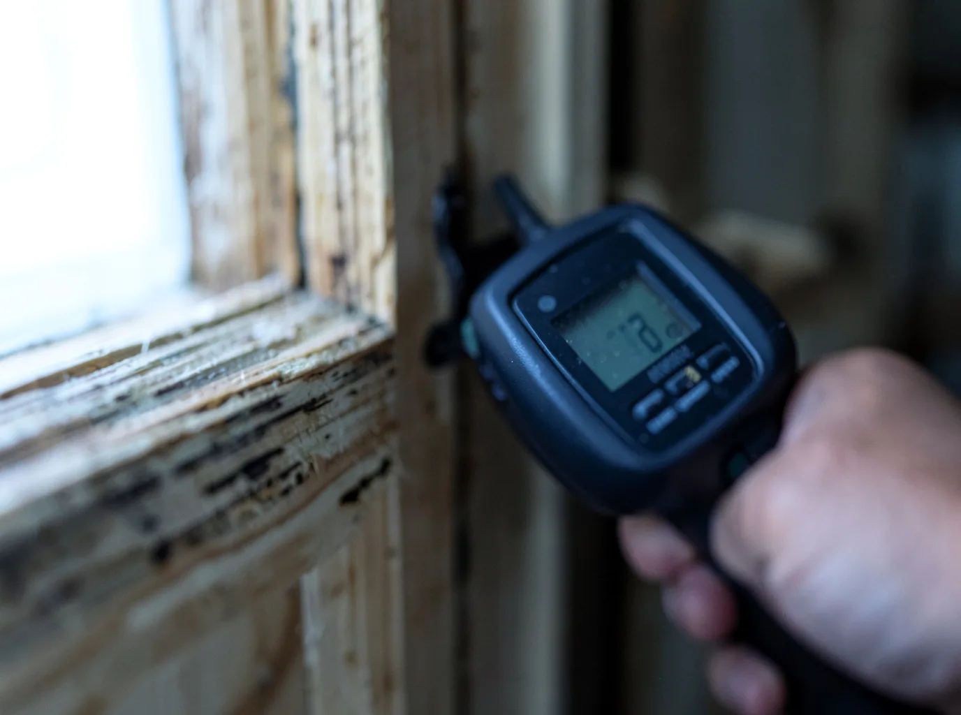 Moisture Inspection And Documentation in Cool Ridge, WV